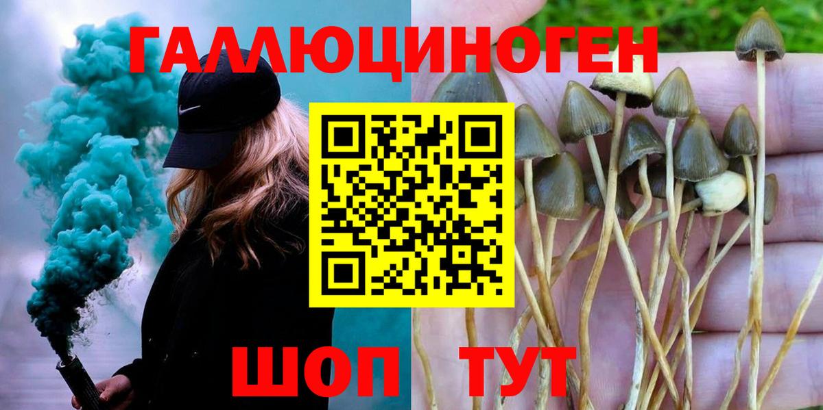 сколько стоит  Вход с VPN  Тельмана  Галлюциногенные грибы мицелий 